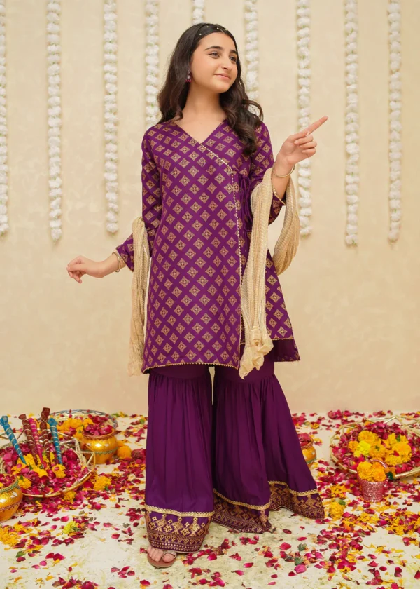 Rawsilk 3 Piece Purple Suit for teenage girls - Image 3